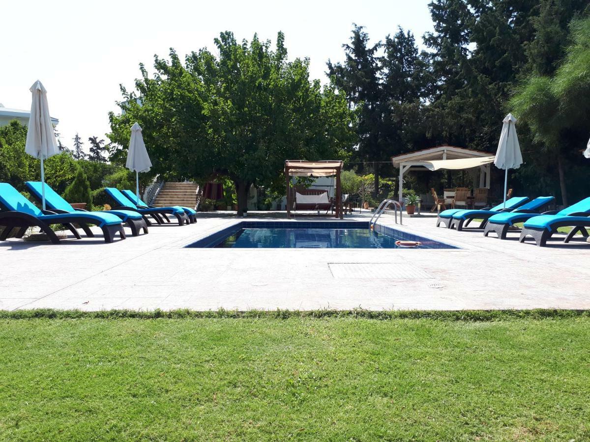 Villa Dora Faliraki Zewnętrze zdjęcie