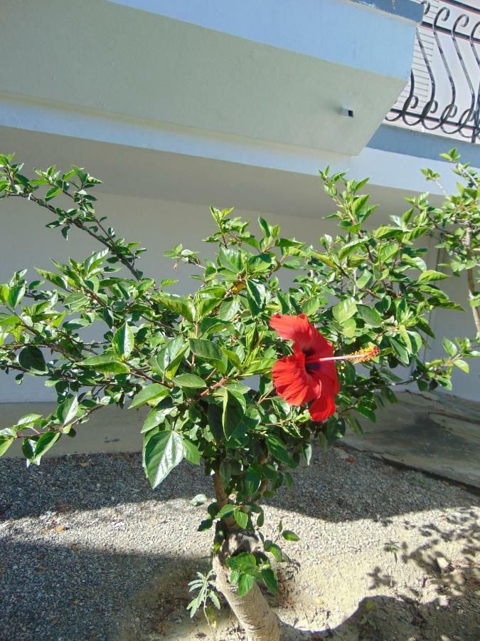 Villa Dora Faliraki Zewnętrze zdjęcie